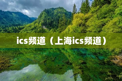 ics频道（上海ics频道）