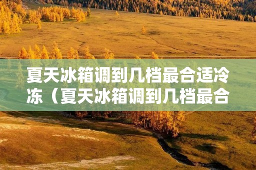 夏天冰箱调到几档最合适冷冻(夏天冰箱调到几档最合适冷藏)