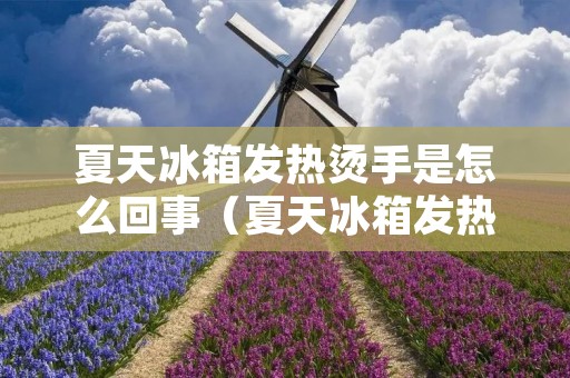 夏天冰箱发热烫手是怎么回事(夏天冰箱发热烫手是怎么回事啊)