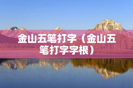 金山五笔打字（金山五笔打字字根）