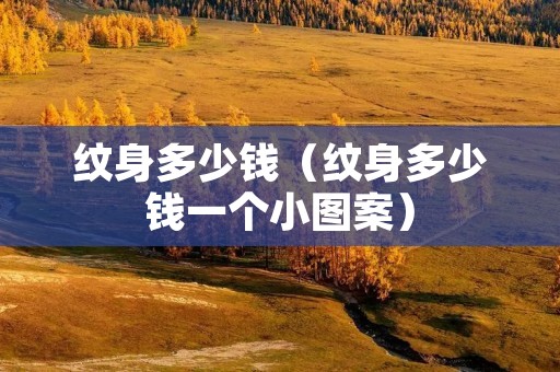 纹身多少钱（纹身多少钱一个小图案）