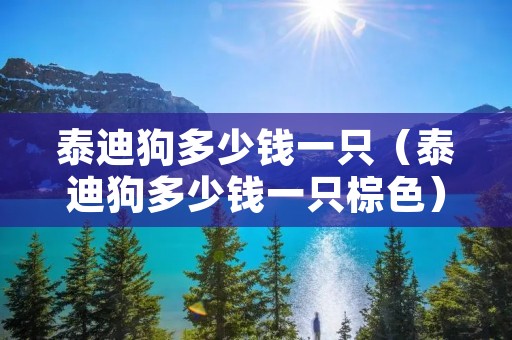 泰迪狗多少钱一只(泰迪狗多少钱一只棕色) 泰迪狗多少钱一只(泰迪狗多少钱一只棕色)