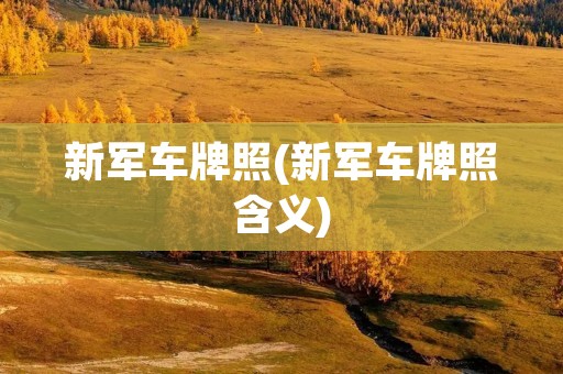 新军车牌照(新军车牌照含义) 新军车牌照(新军车牌照含义)