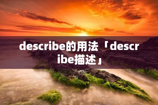 describe的用法「describe描述」