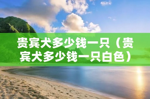 贵宾犬多少钱一只（贵宾犬多少钱一只白色）