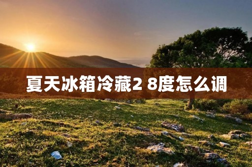 夏天冰箱冷藏2 8度怎么调