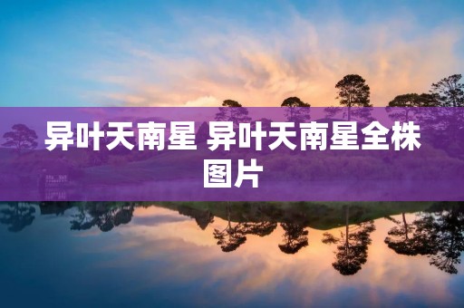 异叶天南星 异叶天南星全株图片 异叶天南星 异叶天南星全株图片