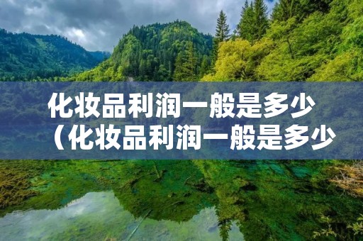 化妆品利润一般是多少（化妆品利润一般是多少钱）