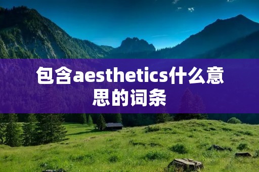 包含aesthetics什么意思的词条