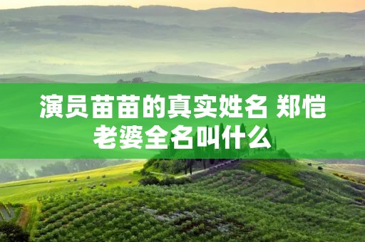 演员苗苗的真实姓名 郑恺老婆全名叫什么