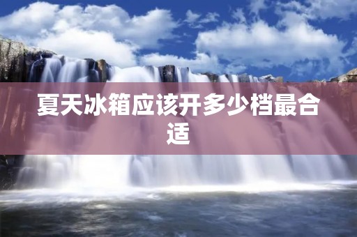 夏天冰箱应该开多少档最合适