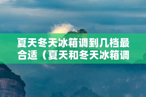 夏天冬天冰箱调到几档最合适（夏天和冬天冰箱调在多少度最合适）