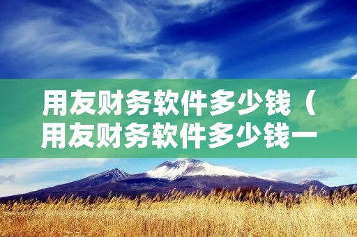 用友财务软件多少钱（用友财务软件多少钱一套啊）