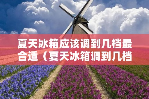 夏天冰箱应该调到几档最合适（夏天冰箱调到几档最合适冷藏）