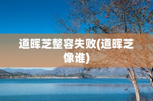 道晖芝整容失败(道晖芝像谁)
