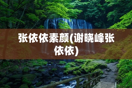 张依依素颜(谢晓峰张依依)