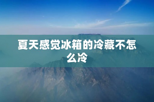 夏天感觉冰箱的冷藏不怎么冷