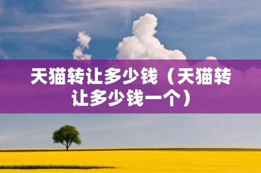 天猫转让多少钱（天猫转让多少钱一个）