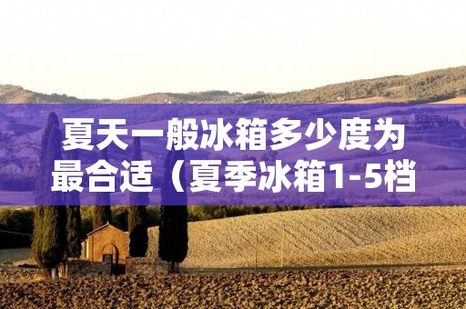 夏天一般冰箱多少度为最合适（夏季冰箱1-5档哪个最好）