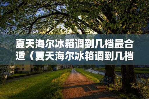 夏天海尔冰箱调到几档最合适（夏天海尔冰箱调到几档最合适不会结冰）
