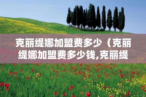克丽缇娜加盟费多少（克丽缇娜加盟费多少钱,克丽缇娜属什么档次）