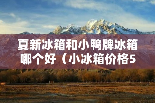 夏新冰箱和小鸭牌冰箱哪个好（小冰箱价格500元以下哪个牌子好）