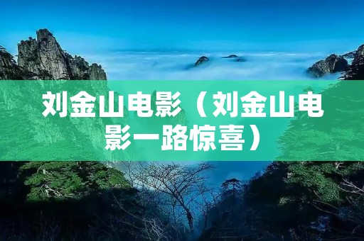 刘金山电影(刘金山电影一路惊喜) 刘金山电影(刘金山电影一路惊喜)