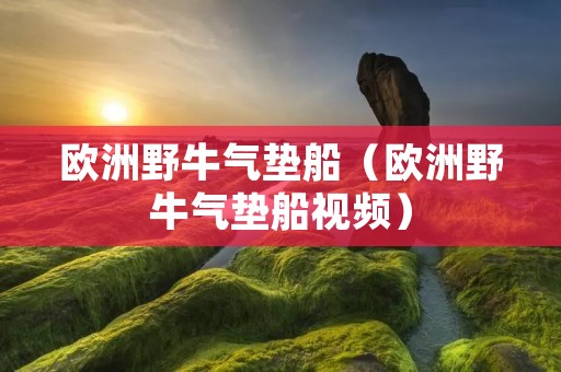 欧洲野牛气垫船（欧洲野牛气垫船视频）
