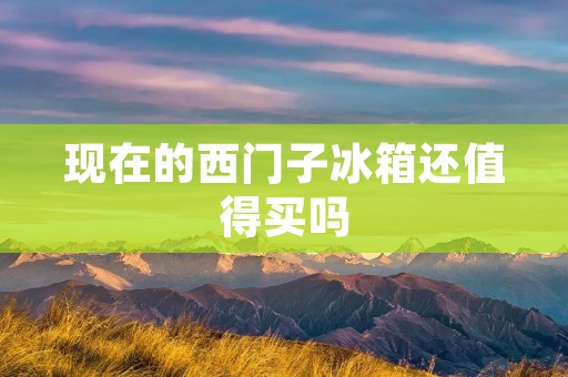 现在的西门子冰箱还值得买吗