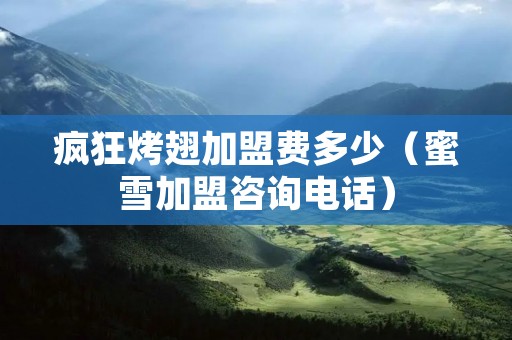 疯狂烤翅加盟费多少(蜜雪加盟咨询**) 疯狂烤翅加盟费多少(蜜雪加盟咨询**)