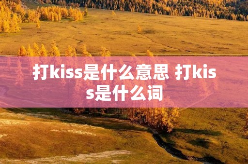 打kiss是什么意思 打kiss是什么词