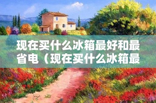 现在买什么冰箱最好和最省电(现在买什么冰箱最好和最省电又实惠)