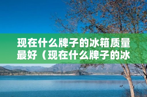 现在什么牌子的冰箱质量最好(现在什么牌子的冰箱质量最好呢)