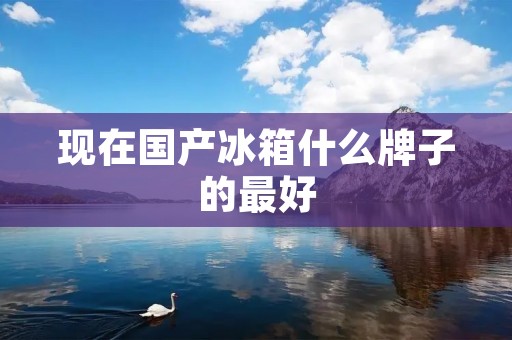 现在国产冰箱什么牌子的最好