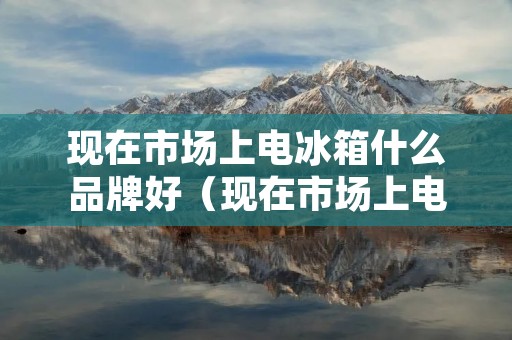 现在市场上电冰箱什么品牌好(现在市场上电冰箱什么品牌好些)