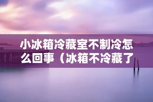 小冰箱冷藏室不制冷怎么回事(冰箱不冷藏了,冷冻好使,怎么回事)