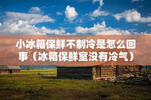 小冰箱保鲜不制冷是怎么回事(冰箱保鲜室没有冷气)