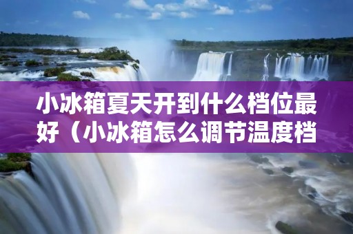 小冰箱夏天开到什么档位最好(小冰箱怎么调节温度档位)