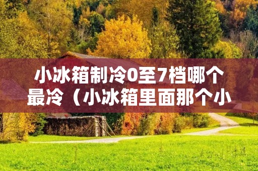 小冰箱制冷0至7档哪个最冷(小冰箱里面那个小开关干嘛的)