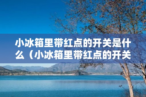 小冰箱里带红点的开关是什么(小冰箱里带红点的开关是什么视频)