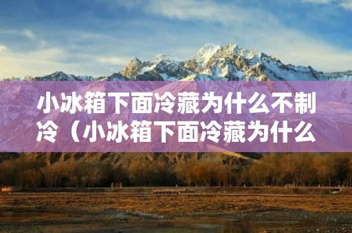 小冰箱下面冷藏为什么不制冷(小冰箱下面冷藏为什么不制冷了)