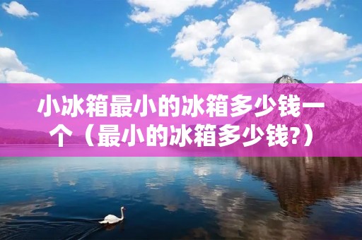 小冰箱最小的冰箱多少钱一个(最小的冰箱多少钱?)