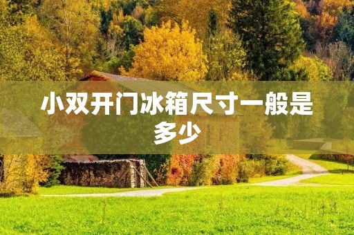 小双开门冰箱尺寸一般是多少