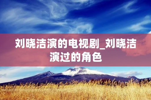 刘晓洁演的电视剧_刘晓洁演过的角色