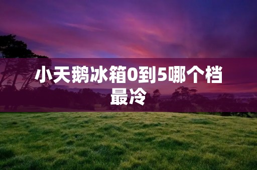 小天鹅冰箱0到5哪个档最冷