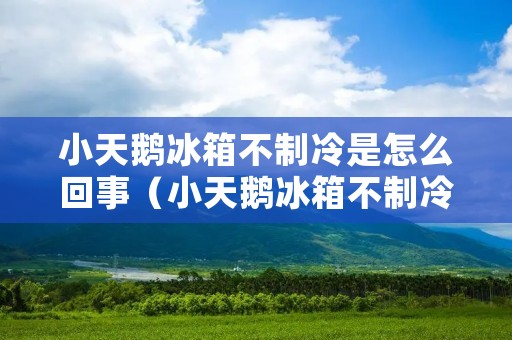 小天鹅冰箱不制冷是怎么回事(小天鹅冰箱不制冷是怎么回事)