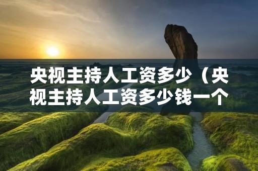 央视主持人工资多少（央视主持人工资多少钱一个月2023）