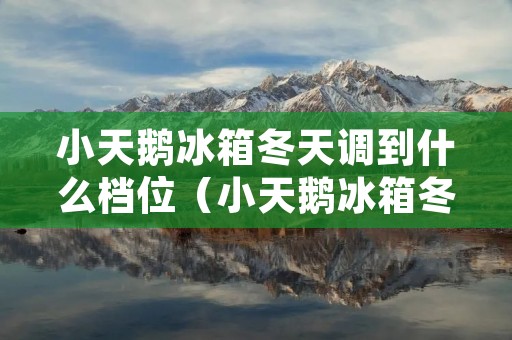 小天鹅冰箱冬天调到什么档位(小天鹅冰箱冬天调到几档)