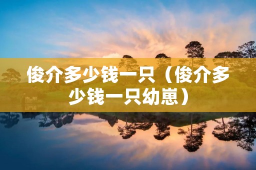 俊介多少钱一只（俊介多少钱一只幼崽）
