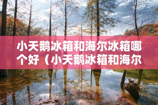 小天鹅冰箱和海尔冰箱哪个好(小天鹅冰箱和海尔冰箱哪个好用)